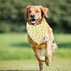 Unbranded 12 Pièces Dog Bandana Foulard Lavable Bavoirs Triangulaires Pet Réglable Lavable Kerchief Dog Bandana 7 Unbranded 12 Pièces Dog Bandana Foulard Lavable Bavoirs Triangulaires Pet Réglable Lavable Kerchief Dog Bandana -Pet Soin 535927160 max