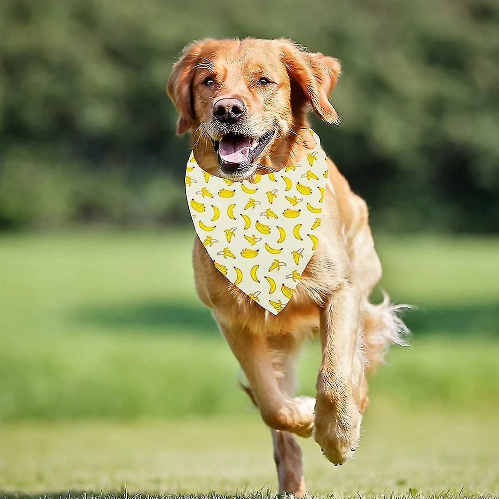 Unbranded 12 Pièces Dog Bandana Foulard Lavable Bavoirs Triangulaires Pet Réglable Lavable Kerchief Dog Bandana 3 Unbranded 12 Pièces Dog Bandana Foulard Lavable Bavoirs Triangulaires Pet Réglable Lavable Kerchief Dog Bandana – Image 3