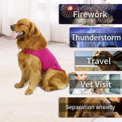 Unbranded Comfort Dog Anxiety Relief Coat, Dog Anxiety Calming Vest Wrap For Thunderstorm, Voyage, Feux D’artifice, Visites Chez Le Vétérinaire 7 Unbranded Comfort Dog Anxiety Relief Coat, Dog Anxiety Calming Vest Wrap For Thunderstorm, Voyage, Feux D’artifice, Visites Chez Le Vétérinaire -Pet Soin 535927735 max