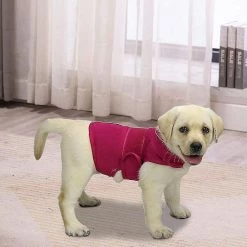 Unbranded Comfort Dog Anxiety Relief Coat, Dog Anxiety Calming Vest Wrap For Thunderstorm, Voyage, Feux D’artifice, Visites Chez Le Vétérinaire 8 Unbranded Comfort Dog Anxiety Relief Coat, Dog Anxiety Calming Vest Wrap For Thunderstorm, Voyage, Feux D’artifice, Visites Chez Le Vétérinaire -Pet Soin 535927822 max