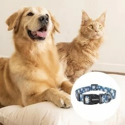 Yskaze Yellow Dog Designs Sports Pattern Colliers -Pet Soin 537006686 max