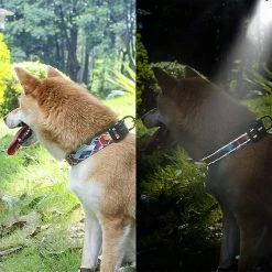 Yskaze Yellow Dog Designs Sports Pattern Colliers -Pet Soin 537006732 max