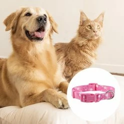 Ksalfye 2 Pièces Cat And Dog Collar Set Et Fun Leash Set Pet Gift Réglable Dog Stripe Collar, 7 Ksalfye 2 Pièces Cat And Dog Collar Set Et Fun Leash Set Pet Gift Réglable Dog Stripe Collar, -Pet Soin 537391810 max