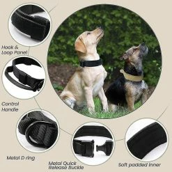 Unbranded Pet Dog Tactical Collar Harness Corde De Plomb Entraînement Tactique En Plein Air Retrait Rapide -Pet Soin 538770656 max