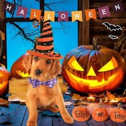 Lyjh 2 Pcs Halloween Dog Et Cat Collar Avec Arc Réglable Comcompatible Avectable Halloween Dog -Pet Soin 540702699 max