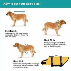 Unbranded Gilet De Sauvetage Pour Chien, Sauveteur Réfléchissant Avec Poignée De Sauvetage, Gilet Flottant Réglable, Aide à La Flottabilité élevée Dog Saver 7 Unbranded Gilet De Sauvetage Pour Chien, Sauveteur Réfléchissant Avec Poignée De Sauvetage, Gilet Flottant Réglable, Aide à La Flottabilité élevée Dog Saver -Pet Soin 543228333 max