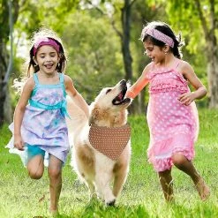 Unbranded 4pcs Dog Bandanas Été Mignon Doux Coton Chiot Chat Foulards Lavables Quotidien Mouchoir Cadeaux Confortables -Pet Soin 543228518 max