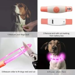 Unbranded Light Up Dog Collar, Clignotant Led Dog Collar Light, Usb Rechargeable Sécurité Dog Collar Lights Pour Le -Pet Soin 545951634 max