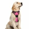 AFFINEST No-Pull Dog Harnais Rembourré Réglable Vet Harnais Pour Gros Chiens Dressage Ou Marche HZYali-66