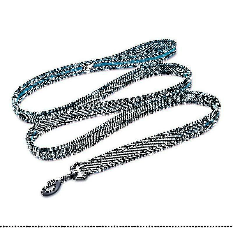 Unbranded Sjq Soft Mesh Nylon Dog Leash Double Trickness Running Reflective Safe Walking Training (bleu) 1 Unbranded Sjq Soft Mesh Nylon Dog Leash Double Trickness Running Reflective Safe Walking Training (bleu)
