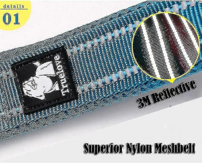 Unbranded Sjq Soft Mesh Nylon Dog Leash Double Trickness Running Reflective Safe Walking Training (bleu) 2 Unbranded Sjq Soft Mesh Nylon Dog Leash Double Trickness Running Reflective Safe Walking Training (bleu) – Image 2