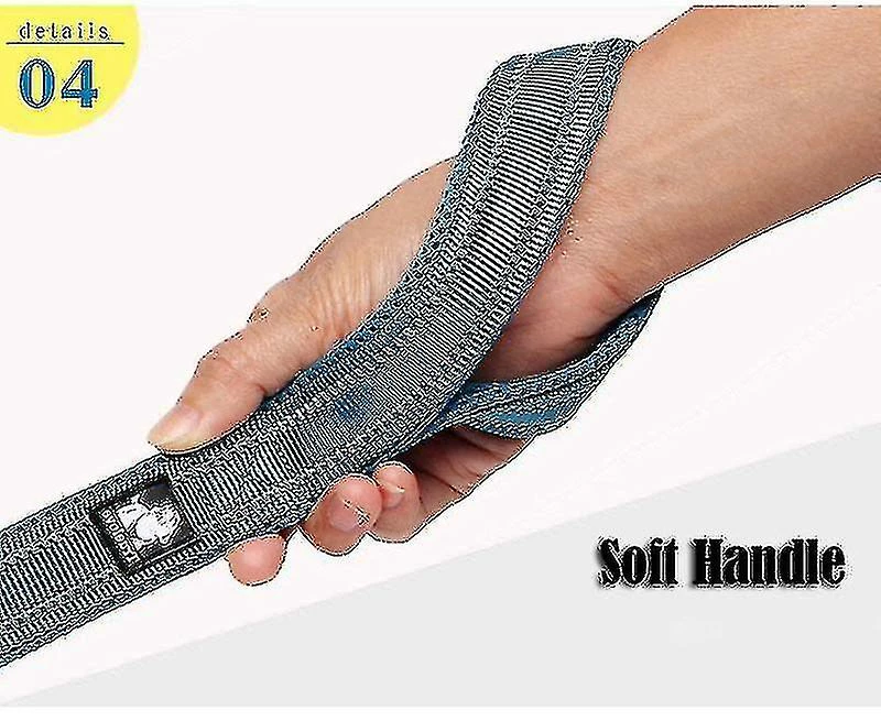 Unbranded Sjq Soft Mesh Nylon Dog Leash Double Trickness Running Reflective Safe Walking Training (bleu) 4 Unbranded Sjq Soft Mesh Nylon Dog Leash Double Trickness Running Reflective Safe Walking Training (bleu) – Image 4