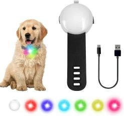 Boom Led Light Up Collar Dog Suspension Rechargeable Étanche 4 Modes Couleur Réglable Sur Collier Laisse, Noir