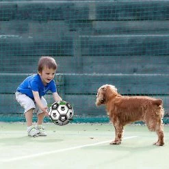 Unbranded Fournitures Pour Animaux De Compagnie Dog Ball Toy Multifonctionnel Interactif Chien Jouet A 5 Unbranded Fournitures Pour Animaux De Compagnie Dog Ball Toy Multifonctionnel Interactif Chien Jouet A -Pet Soin 550462295 max