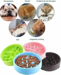 Sl Chang Slow Feeding Dog Bowl Slow Feeding Dog Bowl Les Mangeoires Et Les Buveurs Pour Chiens Favorisent Une Alimentation Saine -Pet Soin 554966897 max