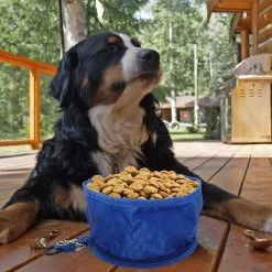 Giveuphesit Dog Bowl Travel Bowls Pliable Pour Chien De Compagnie, étanche Portable Sur Le Pouce Avec Bol D’alimentation à Fermeture à Glissière Et Bol à Boire (2 Bols De Voyage) -Pet Soin 555413437 max