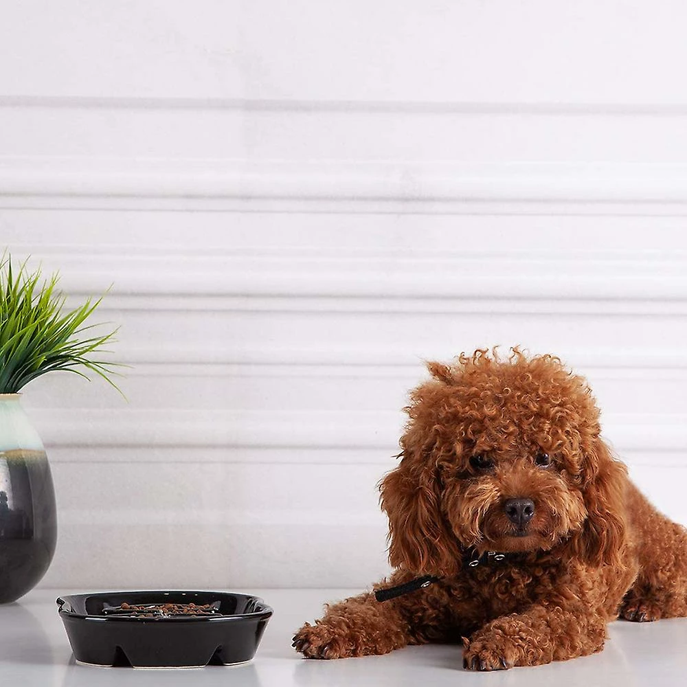 Giveuphesit Dog Slow Feeder Céramique Cat Dog Bowl Dog Dish Slow Feeding Food Bowls Pour Bulldog Puppy Medium Dogs Pet Diet 4 Giveuphesit Dog Slow Feeder Céramique Cat Dog Bowl Dog Dish Slow Feeding Food Bowls Pour Bulldog Puppy Medium Dogs Pet Diet – Image 4
