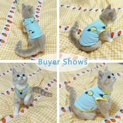 Unbranded 2 Pack Dog Shirt Jupe Rayé Imprimé T-Shirts Coton Gilet Plissé Vêtements Chiot Vêtements D’été Mignon Fille Garçon Tops Doux Pet Vêtements Pour Petit Moi 5 Unbranded 2 Pack Dog Shirt Jupe Rayé Imprimé T-Shirts Coton Gilet Plissé Vêtements Chiot Vêtements D’été Mignon Fille Garçon Tops Doux Pet Vêtements Pour Petit Moi -Pet Soin 558802412 max