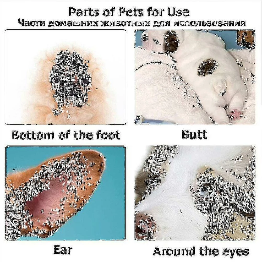 Sl Chang Tondeuses Pour Chiens Professionnel Pet Foot Hair Trimmer Dog Growth Scissors Usb Rechargeable Butt Ear Eye Hair Clipper 3 Sl Chang Tondeuses Pour Chiens Professionnel Pet Foot Hair Trimmer Dog Growth Scissors Usb Rechargeable Butt Ear Eye Hair Clipper – Image 3