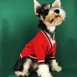 Unbranded Cht-dog Sweater Pet Sweater Designer Vêtements Français Bulldog Schnauzer Caniche Teddy Dog Vêtements Pour Grands Chiens Drop Zy3018 -Pet Soin 560375009 max