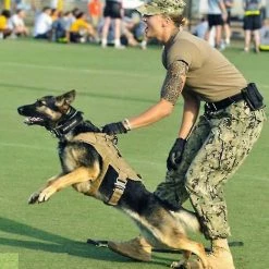 Unbranded Harnais Tactique Pour Chien 1000d Nylon Poignée Dressage Réglable Imperméable à L’eau Extérieur Pet Dog Harness Sangle De Poitrine 6 Unbranded Harnais Tactique Pour Chien 1000d Nylon Poignée Dressage Réglable Imperméable à L’eau Extérieur Pet Dog Harness Sangle De Poitrine -Pet Soin 563596719 max