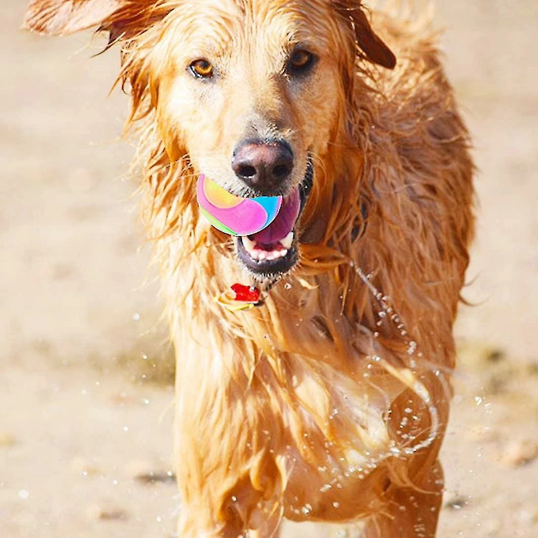 Unbranded Dog Ball Flash Glowing Dog Ball Changement De Couleur Bouncing Dog Flash Play Ball Jumping Dog Ball Interac 4 Unbranded Dog Ball Flash Glowing Dog Ball Changement De Couleur Bouncing Dog Flash Play Ball Jumping Dog Ball Interac – Image 4