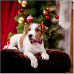 Unbranded Pet Dog Cat Collier Noël Motif De Neige Réglable Nylon Cravate Bowknot Nœud Papillon Traction Corde -Pet Soin 563627987 max