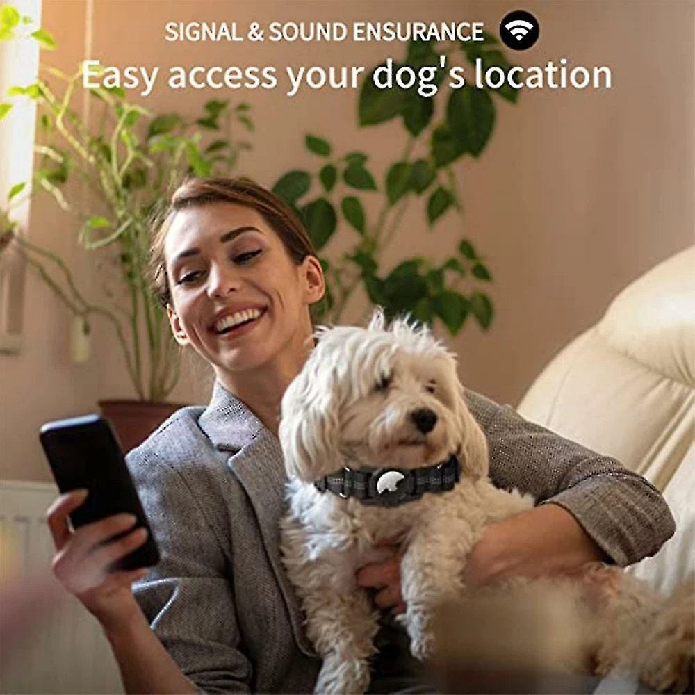 Unbranded Réfléchissant Apple Air Tag Dog Collar-réglable -durable -robuste Do 5 Unbranded Réfléchissant Apple Air Tag Dog Collar-réglable -durable -robuste Do – Image 5