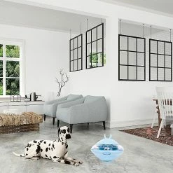 Unbranded New Explosive Aiwo Pet Supplies Rubber Ufo Ball Dog Toys_as 7 Unbranded New Explosive Aiwo Pet Supplies Rubber Ufo Ball Dog Toys_as -Pet Soin 568789888 max