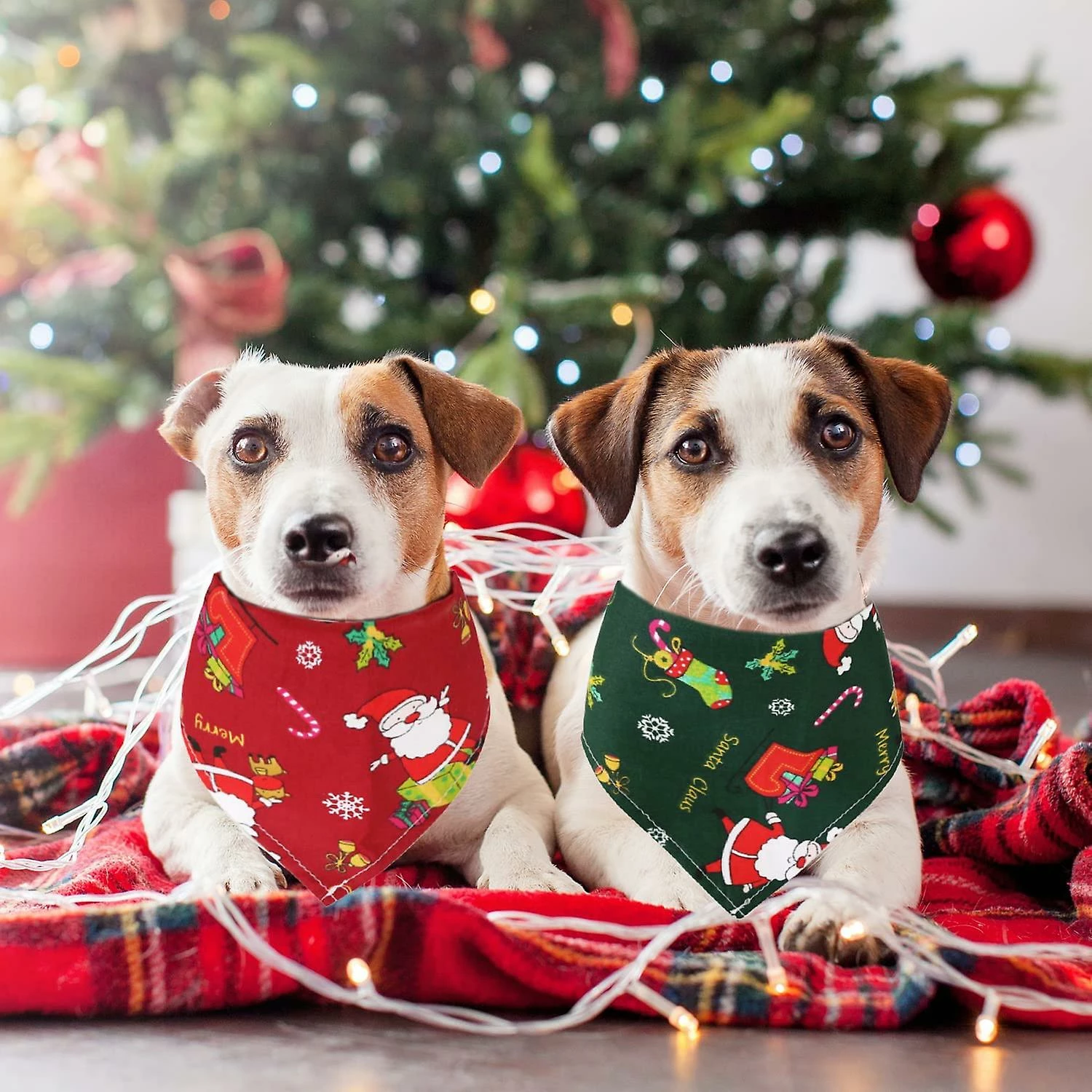 Unbranded Christmas Dog Bandanas, 3 Pack Christmas Pet Scarf Xmas Dog Santa Outfits Triangle Bibs, Pets Costume Accessories Bow Ties Decoration For Small Medium 1 Unbranded Christmas Dog Bandanas, 3 Pack Christmas Pet Scarf Xmas Dog Santa Outfits Triangle Bibs, Pets Costume Accessories Bow Ties Decoration For Small Medium