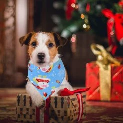 Unbranded Christmas Dog Bandanas, 3 Pack Christmas Pet Scarf Xmas Dog Santa Outfits Triangle Bibs, Pets Costume Accessories Bow Ties Decoration For Small Medium 7 Unbranded Christmas Dog Bandanas, 3 Pack Christmas Pet Scarf Xmas Dog Santa Outfits Triangle Bibs, Pets Costume Accessories Bow Ties Decoration For Small Medium -Pet Soin 569146164 max