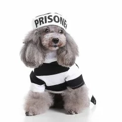 Unbranded Small Pet Dogs Clothing Pet Dog Clothes Puppy Chihuahua Clothes