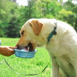 Favrison Dog Lick Bowl Pet Slow Food Bowl Portable Multifonctionnel Pet Lick Bowl Pliable Slow Food Bowl 6 Favrison Dog Lick Bowl Pet Slow Food Bowl Portable Multifonctionnel Pet Lick Bowl Pliable Slow Food Bowl -Pet Soin 571040763 max