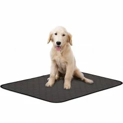 Yaqinuo Pet Changing Pads Épaississant Absorbant Et Désodorisant Dog Pet Pads Soft Washingable Diapers Gris 1pc 6 Yaqinuo Pet Changing Pads Épaississant Absorbant Et Désodorisant Dog Pet Pads Soft Washingable Diapers Gris 1pc -Pet Soin 581345079 max
