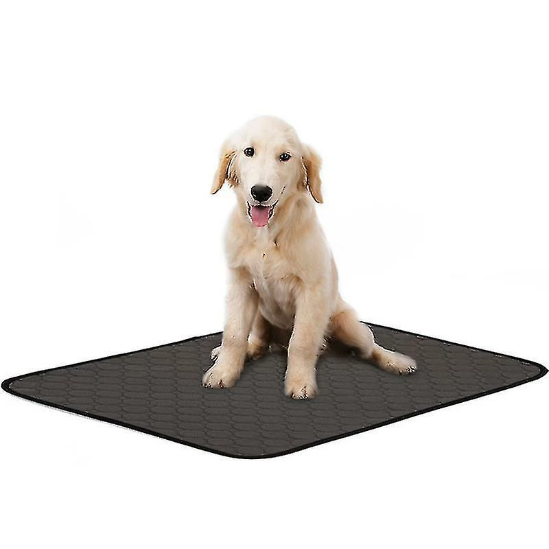 Yaqinuo Pet Changing Pads Épaississant Absorbant Et Désodorisant Dog Pet Pads Soft Washingable Diapers Gris 1pc 3 Yaqinuo Pet Changing Pads Épaississant Absorbant Et Désodorisant Dog Pet Pads Soft Washingable Diapers Gris 1pc – Image 3