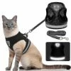 Boom Harnais De Chat Respirant Et Laisse Escape Proof Pet Clothes Kitten Puppy Dog Xl Noir