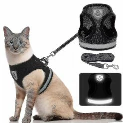 Boom Harnais De Chat Respirant Et Laisse Escape Proof Pet Clothes Kitten Puppy Dog Xl Noir