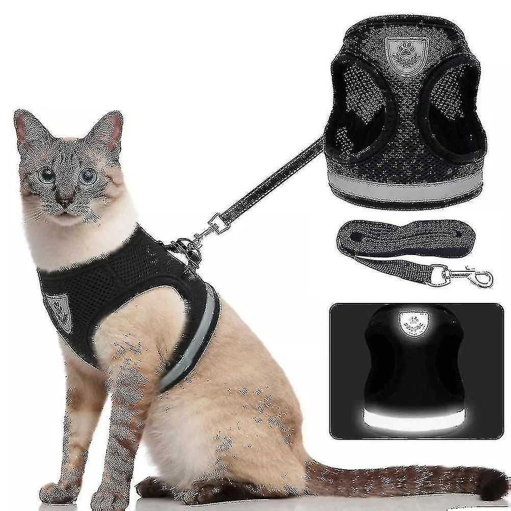Boom Harnais De Chat Respirant Et Laisse Escape Proof Pet Clothes Kitten Puppy Dog Xl Noir 1 Boom Harnais De Chat Respirant Et Laisse Escape Proof Pet Clothes Kitten Puppy Dog Xl Noir