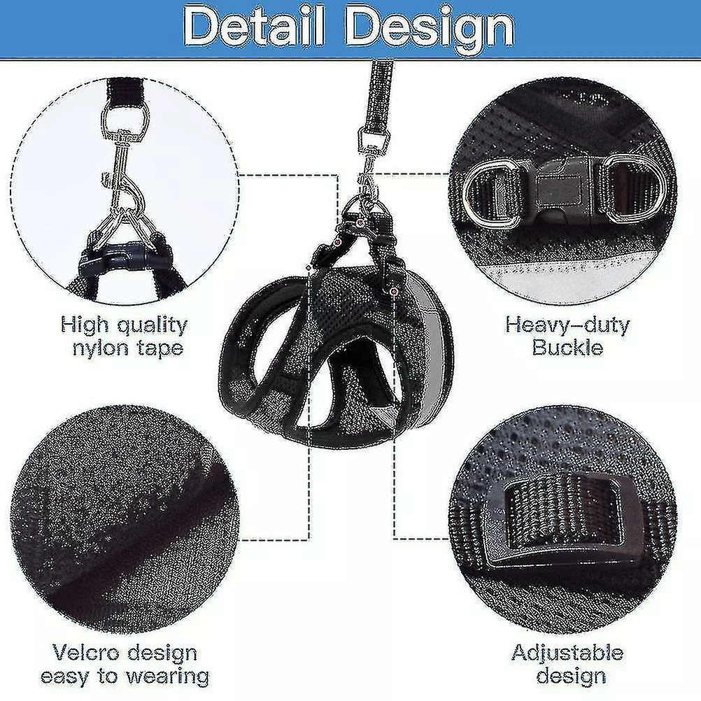 Boom Harnais De Chat Respirant Et Laisse Escape Proof Pet Clothes Kitten Puppy Dog Xl Noir 3 Boom Harnais De Chat Respirant Et Laisse Escape Proof Pet Clothes Kitten Puppy Dog Xl Noir – Image 3