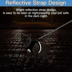 Boom Harnais De Chat Respirant Et Laisse Escape Proof Pet Clothes Kitten Puppy Dog Xl Noir 8 Boom Harnais De Chat Respirant Et Laisse Escape Proof Pet Clothes Kitten Puppy Dog Xl Noir -Pet Soin 582096997 max
