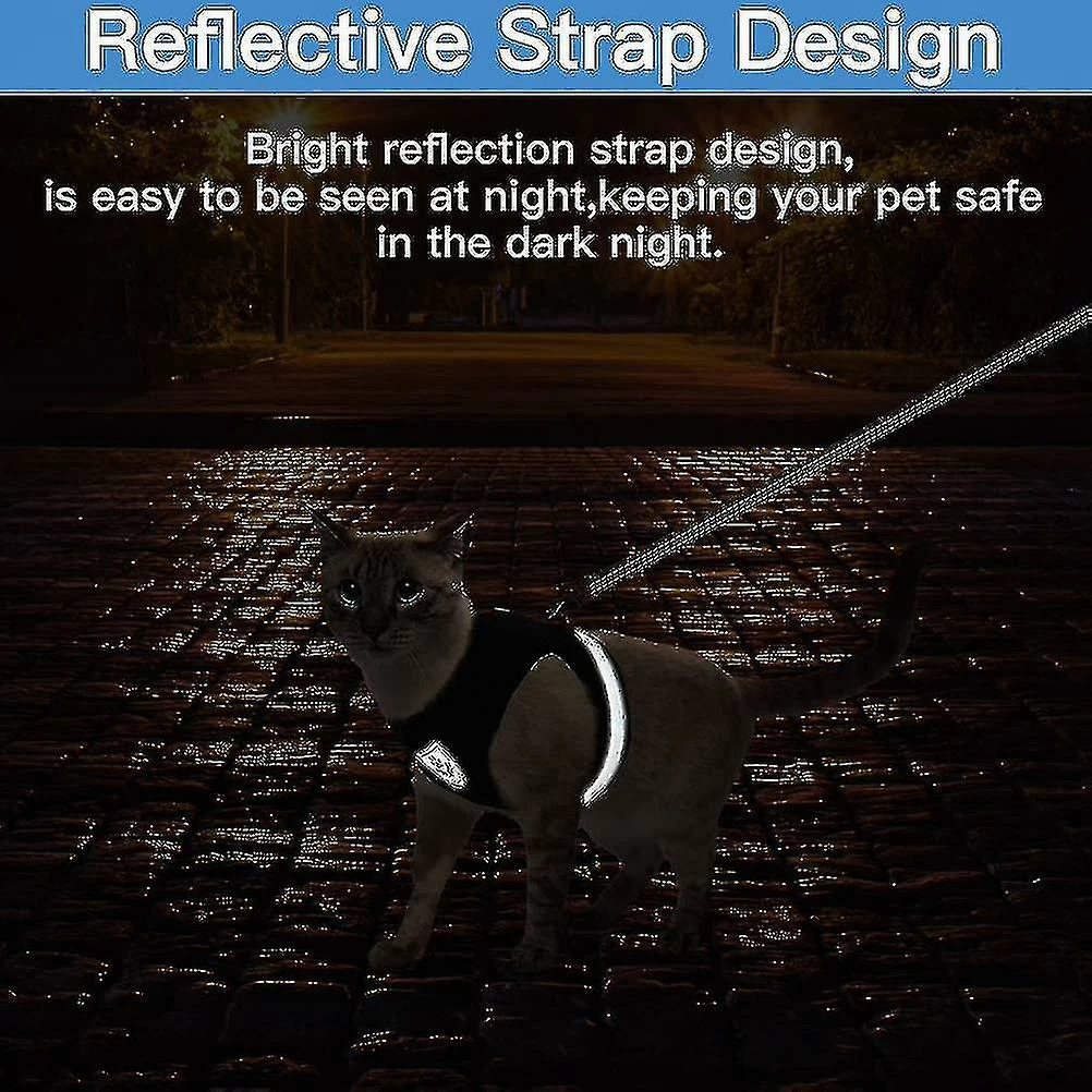 Boom Harnais De Chat Respirant Et Laisse Escape Proof Pet Clothes Kitten Puppy Dog Xl Noir 4 Boom Harnais De Chat Respirant Et Laisse Escape Proof Pet Clothes Kitten Puppy Dog Xl Noir – Image 4