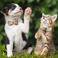 Unbranded 3pcsdog Collier Et Laisse Chien Nœud Papillon Avec Bell Dog Bandana Peau De Chien Collier Chien Chien -Pet Soin 584055649 max