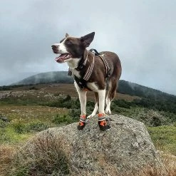 Unbranded Tflycqdog Boots For Dogs Non-slip, Waterproof Dog Booties For Outdoor, Dog Shoes For Medium To Large Dogs With Rugged Sole -Pet Soin 588491718 max