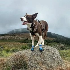 Unbranded Tflycqdog Boots For Dogs Non-slip, Waterproof Dog Booties For Outdoor, Dog Shoes For Medium To Large Dogs With Rugged Sole 8 Unbranded Tflycqdog Boots For Dogs Non-slip, Waterproof Dog Booties For Outdoor, Dog Shoes For Medium To Large Dogs With Rugged Sole -Pet Soin 588493316 max
