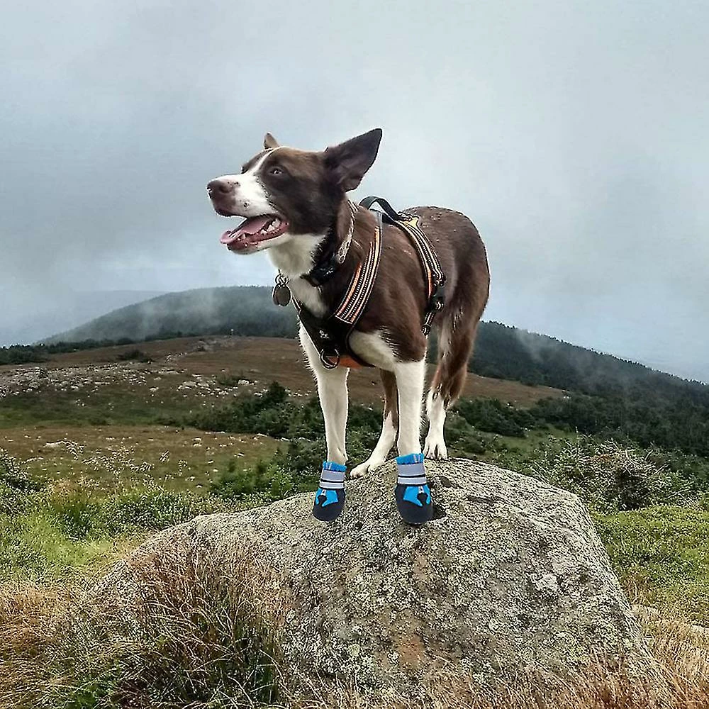 Unbranded Tflycqdog Boots For Dogs Non-slip, Waterproof Dog Booties For Outdoor, Dog Shoes For Medium To Large Dogs With Rugged Sole 4 Unbranded Tflycqdog Boots For Dogs Non-slip, Waterproof Dog Booties For Outdoor, Dog Shoes For Medium To Large Dogs With Rugged Sole – Image 4