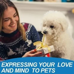 Giveuphesit Chemises Pour Chiens, T-shirt Pour Chiens, Chemises Pour Animaux De Compagnie Puppy Dog Vest T-shirt Pet Clothing Vêtements Pour Animaux De Compagnie Femelle Mâle Small Dog-2pcs 9 Giveuphesit Chemises Pour Chiens, T-shirt Pour Chiens, Chemises Pour Animaux De Compagnie Puppy Dog Vest T-shirt Pet Clothing Vêtements Pour Animaux De Compagnie Femelle Mâle Small Dog-2pcs -Pet Soin 591947809 max