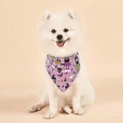 Unbrand Halloween Dog Bandanas Pet Bib Bandanas Citrouille Pet Scarf Washable Dog Bib Costume [taille: L] - Sorcière / Citrouille -Pet Soin 595574353 max