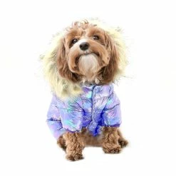 Unbrand Tg-cl061 Pet Dog Colorful Laser Hoodie Coat Imperméable Winter Puppy Outwear Costumes - Violet / Taille 12 -Pet Soin 595591279 max