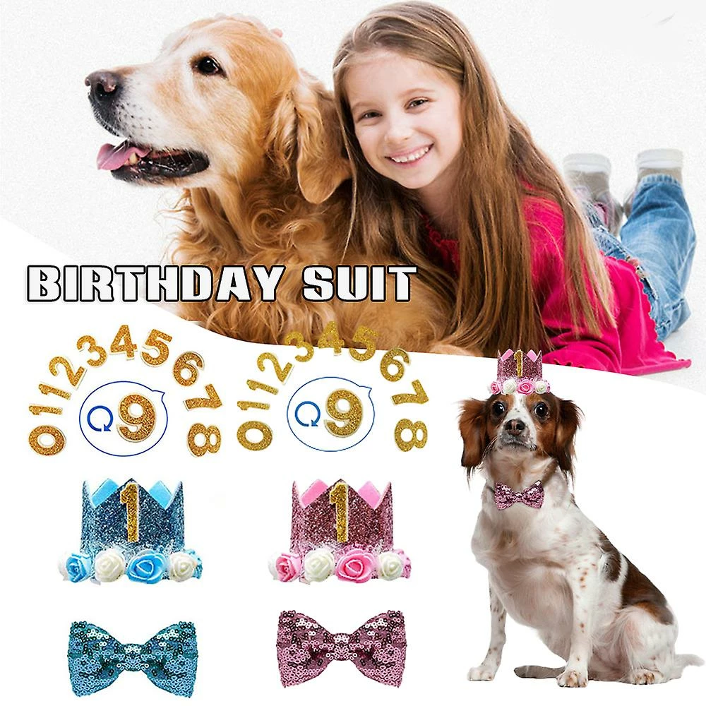 Unbranded Dog Birthday Suit Réglable Crown Hat Bow Tie Avec Numéros Party Supplies 3 Unbranded Dog Birthday Suit Réglable Crown Hat Bow Tie Avec Numéros Party Supplies – Image 3