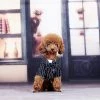 Unbranded Dog Tuxedo Dog Suit, Dogs Tuxedo Wedding Party Suit, Dog Prince Wedding Bow Tie Shirt Tenue Formelle De Mariage Pour Petits Chiens Bulldogs(1 Pack, S)